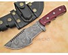 Tom Brown Full Tang Handmade Damascus Steel Tracker Knife DTK1005