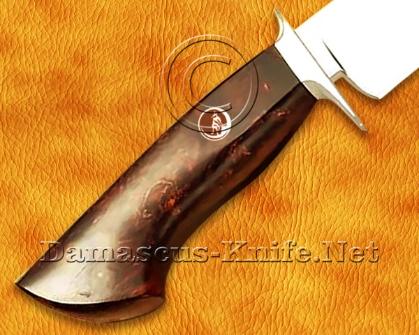 Custom Handmade VG10 Steel Hunting and Survival Bowie Knife SHK971