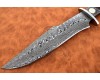 Handmade Damascus Steel Wolf Hunting Knife Mahogany Wood Handle DHK882