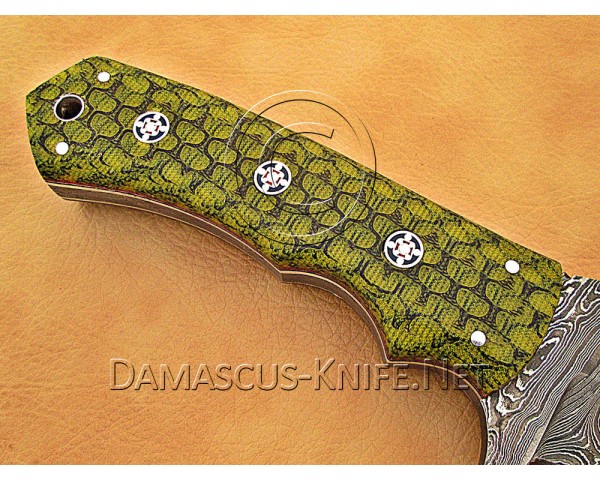 Gut Hook Full Tang Handmade Damascus Steel Hunting and Survival Tracker Knife DTK1017