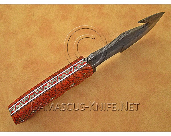 Gut Hook Full Tang Handmade Damascus Steel Hunting and Survival Tracker Knife DTK1018