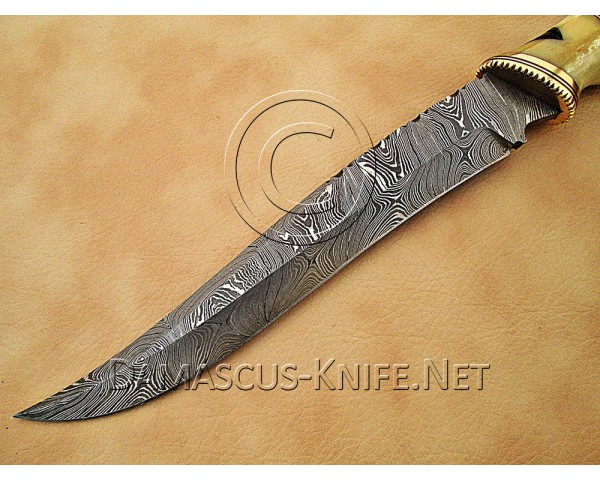 Custom Handmade Damascus Steel Hunting and survival Bowie Knife DHK883