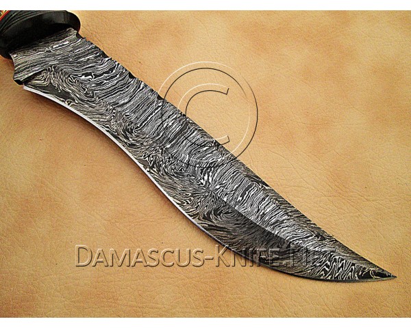 Custom Handmade Damascus Steel Hunting and Survival Bowie Knife DHK892
