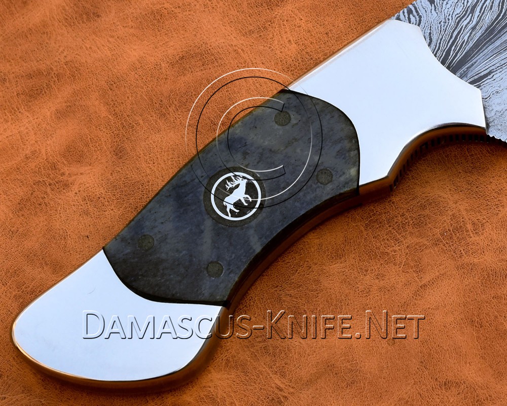Details about   Damascus Steel Outback Skinner & Gut Hook Limited Edition 