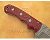 Personalized Handmade Damascus Steel Gut Hook Arts and Crafts Hunting and Survival Tracker Knife